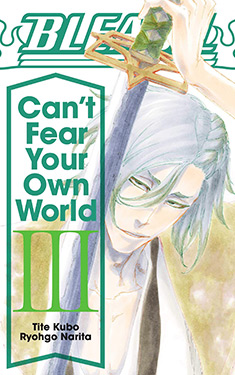 Bleach: Can't Fear Your Own World, Vol. 3