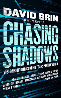 Chasing Shadows:  Visions of Our Coming Transparent World