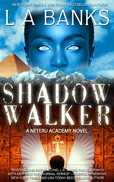 Shadow Walker