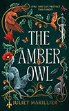 The Amber Owl