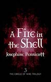 A Fire in the Shell