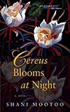 Cereus Blooms at Night 
