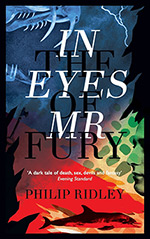 In the Eyes of Mr. Fury