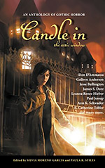 Candle in the Attic Window