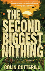 The Second Biggest Nothing