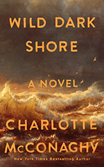 Wild Dark Shore