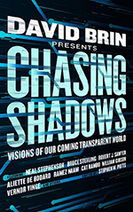 Chasing Shadows: Visions of Our Coming Transparent World