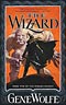 The Wizard Knight