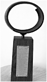 Campbell Trophy