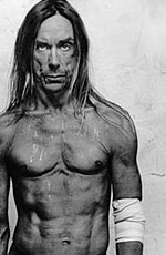 Iggy Pop