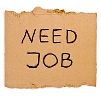 Need Job