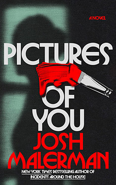 Pictures of You:  A Novel