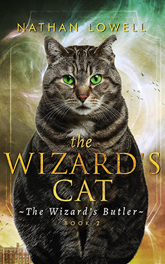 The Wizard's Cat