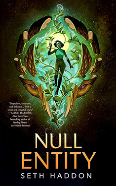 Null Entity