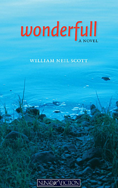 Wonderfull:  A Novel