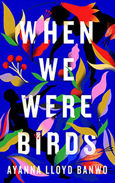 When We Were Birds:  A Novel