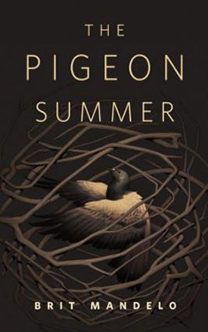 The Pigeon Summer