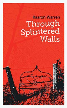 Through Splintered Walls