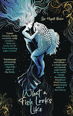 What a Fish Looks Like