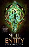 Null Entity