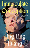 Immaculate Conception:  A Novel