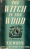 The Witch in the Wood (The Queen of Air and Darkness)