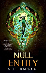 Null Entity