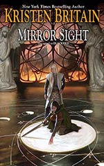 Mirror Sight Cover