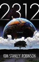 2312 - an extraordinary novel