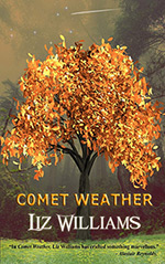 Comet Weather